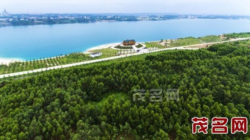 露天礦生態公園林木蔥鬱生機盎然.茂名日報記者 丘立賀攝