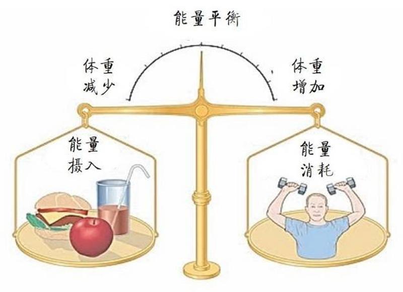 揭秘！男性BMI多少最显帅气？探寻男性BMI最佳健康魅力值(图3)