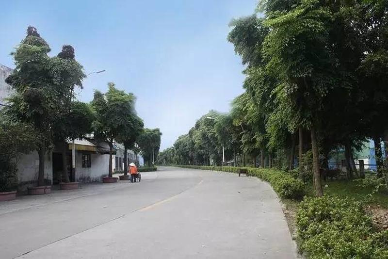 海珠区西滘村图片