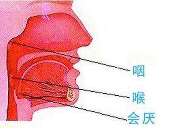 喉炎位置图片图片