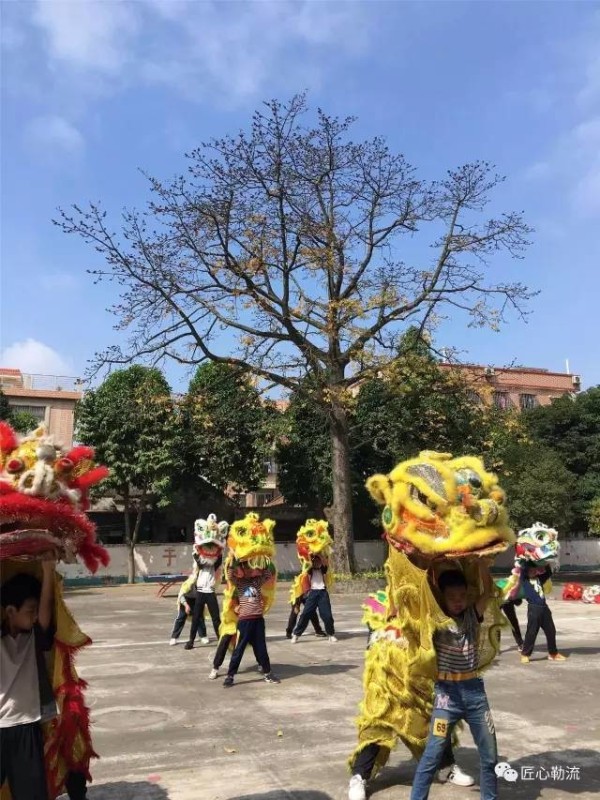 威順德勒流眾湧小學群獅共舞將登中國教育電視臺