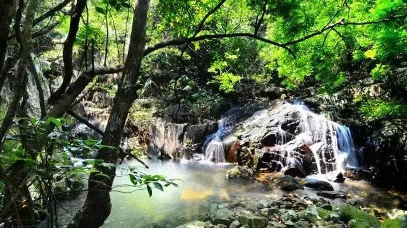 紫煙閣 在清溪,清溪森林公園因擁有清溪湖,紫煙閣,東莞天池,黃茅田