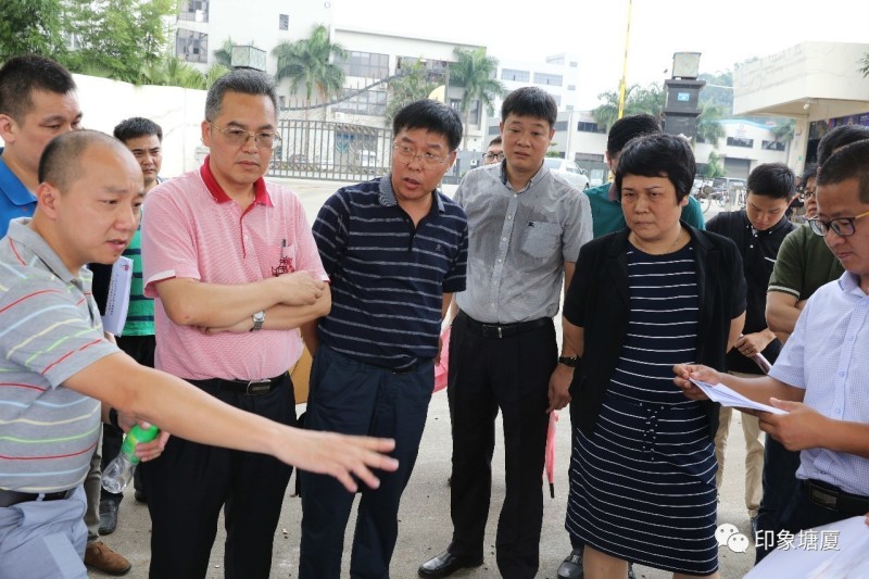 塘廈鎮委副書記,鎮長黎雪琴,塘廈鎮委委員朱仲平,塘廈鎮委委員楊翰卿