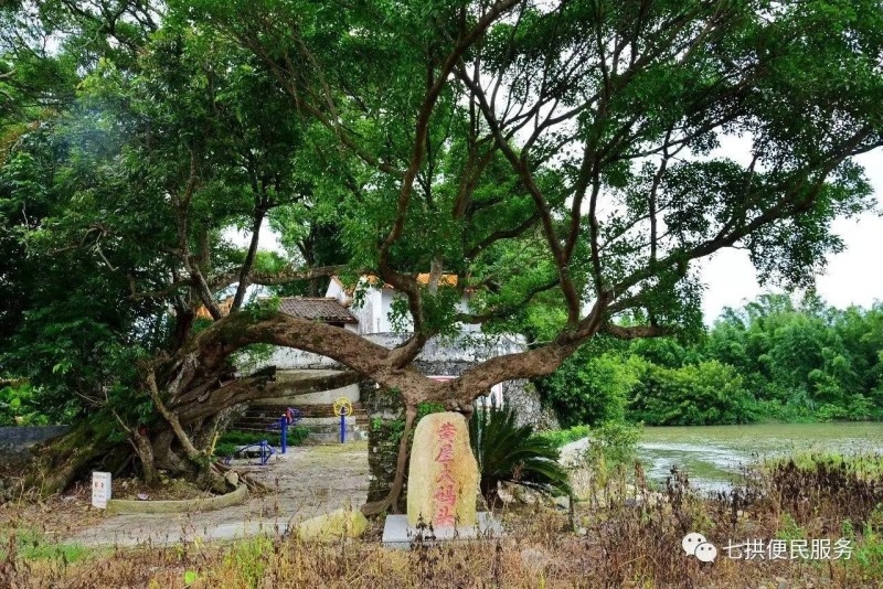 全域旅遊創建航拍七拱隔坑潭村黃屋村龍虎坑美美噠