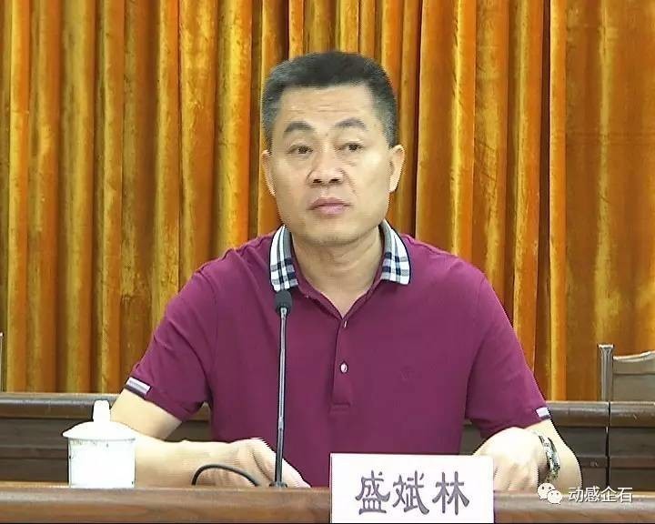 会议由镇党委委员,副镇长盛斌林主持