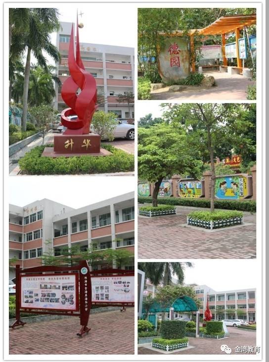 海华小学校徽图片