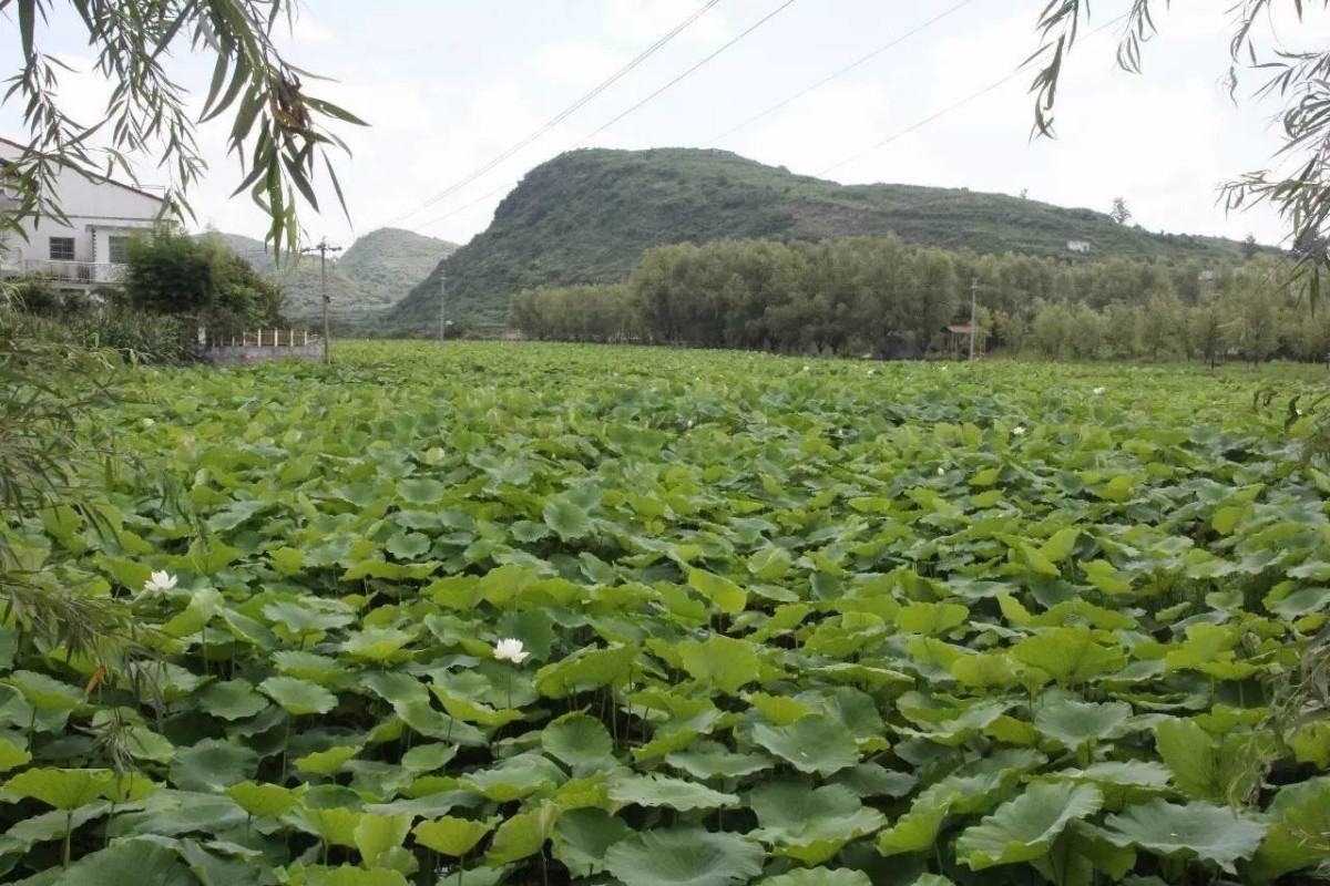 贵州行之浪塘村:这个村被称为"四在农家·美丽乡村"创建示范点,那么"