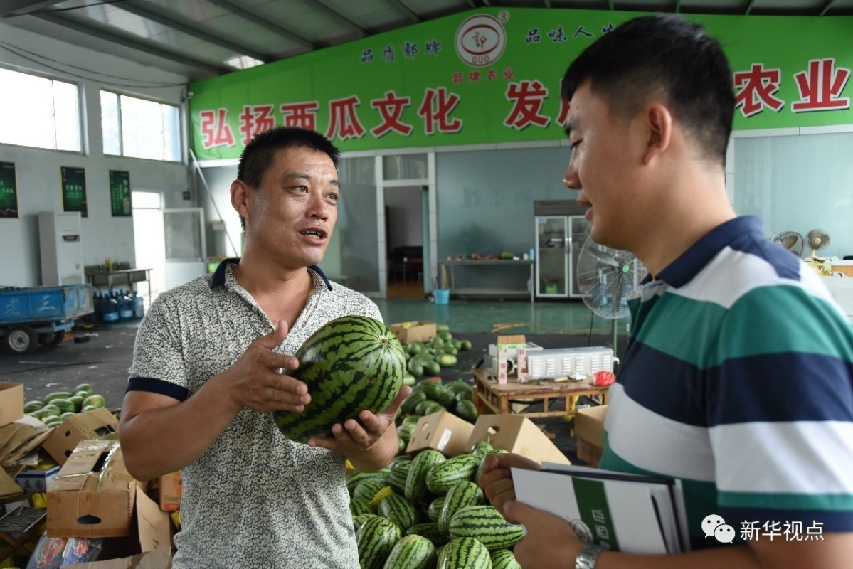 郭牌西瓜基地 只见挑瓜师马东熟练拿起1个西瓜,左手平托着瓜,右手中指