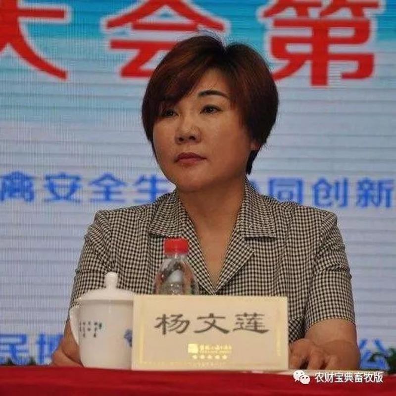 5c杨文莲-湘村高科农业股份有限公司董事长