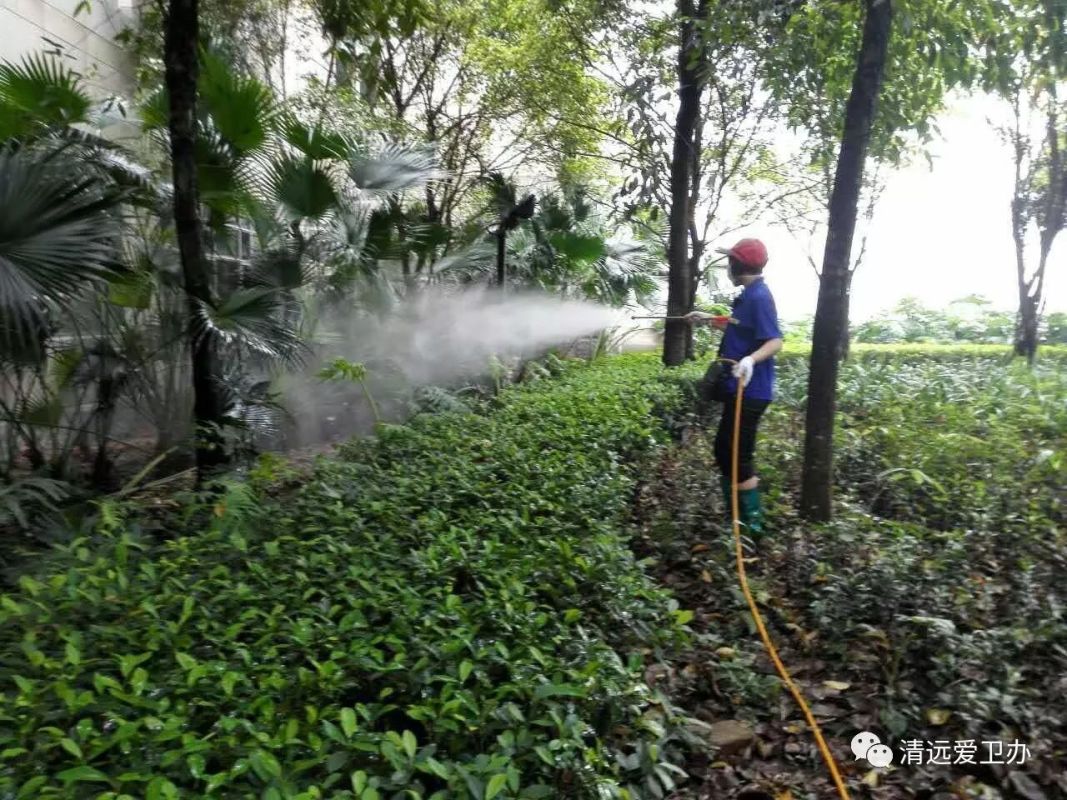 組織大規模的除