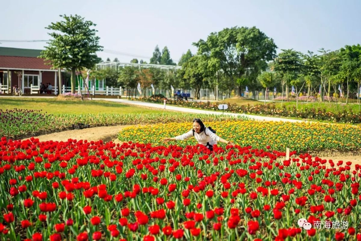 的金鱼草,梦里水乡百花园的四季花海…都用点点花漪绚烂了你我的