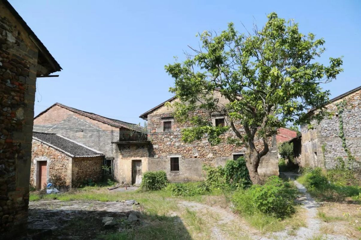 川流不息的连江水,东去路上,在英德市浛洸镇地界上画了三个大弯,其中