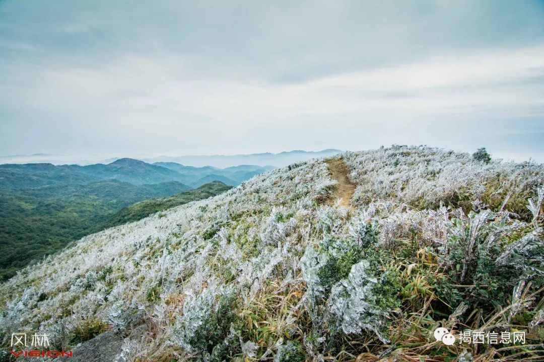 揭西下雪了!李望嶂冰山,雾凇美景恍若仙境!