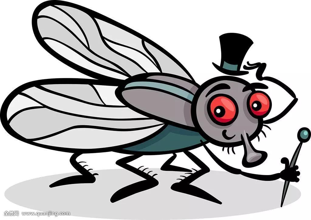 苍蝇能传播霍乱,伤寒,痢疾,甲型肝炎等肠道传染病