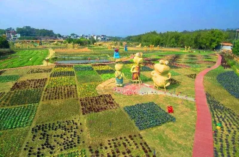 它就是從化西塘童話小鎮的稻草農業公園!