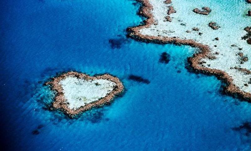 浪漫地中海海洋之心图片