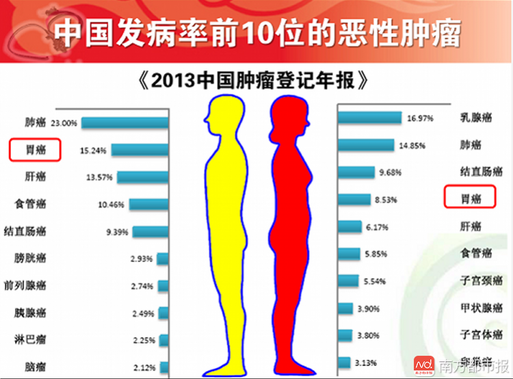 中国发病前十位的恶性肿瘤,男性消化系统肿瘤占据5个.